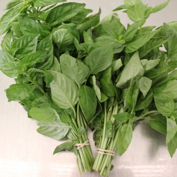 Produce Basil Bunch 1 CT